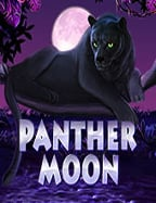 เว็บ สล็อต โดยตรง เล่นง่าย ทำกำไรได้แบบไม่มีอั้น